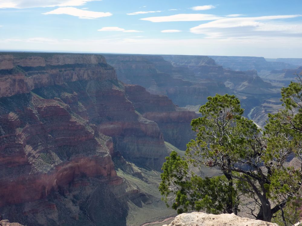 grand canyon rive sud (87).JPG